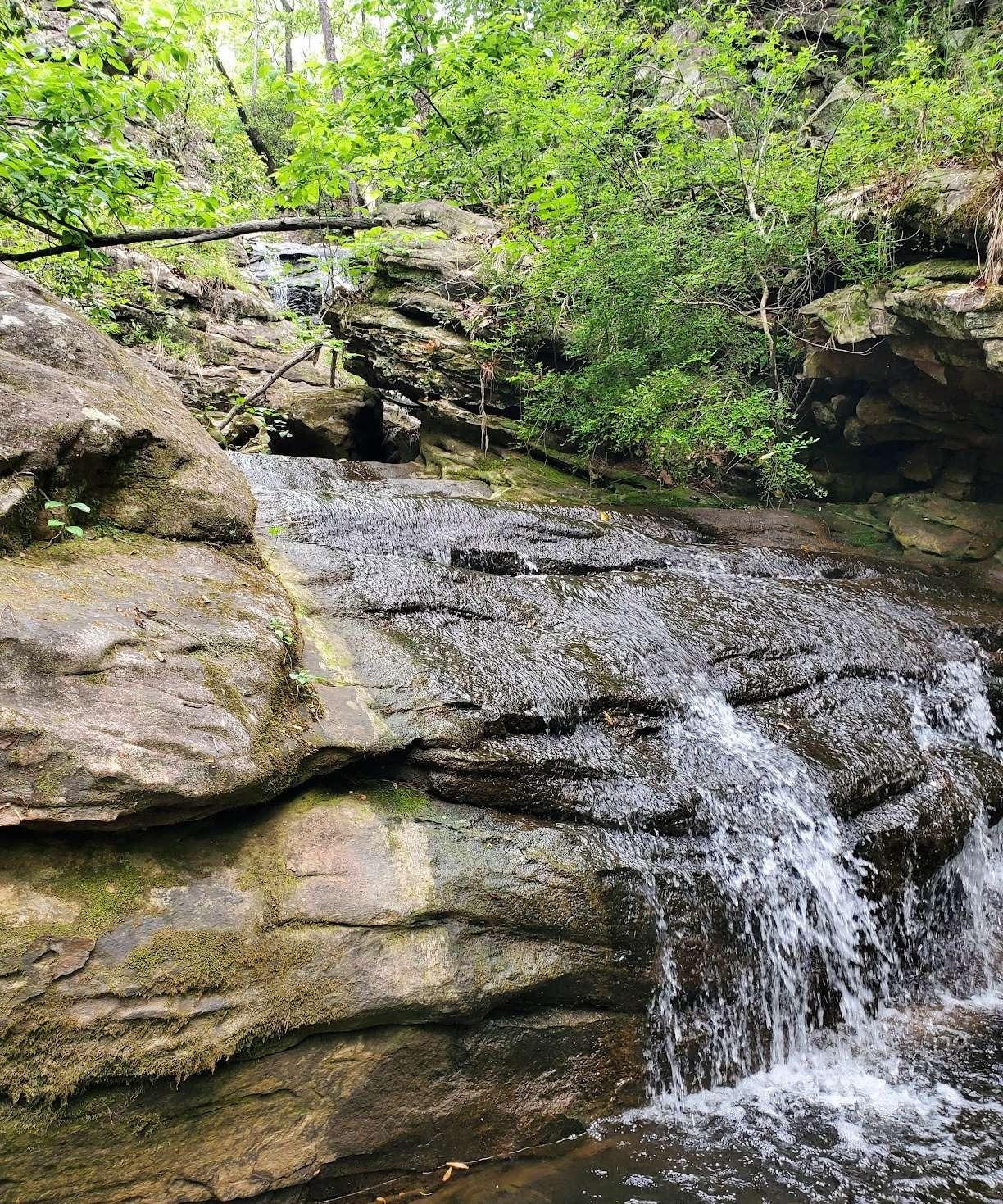 Moss Rock Preserve
