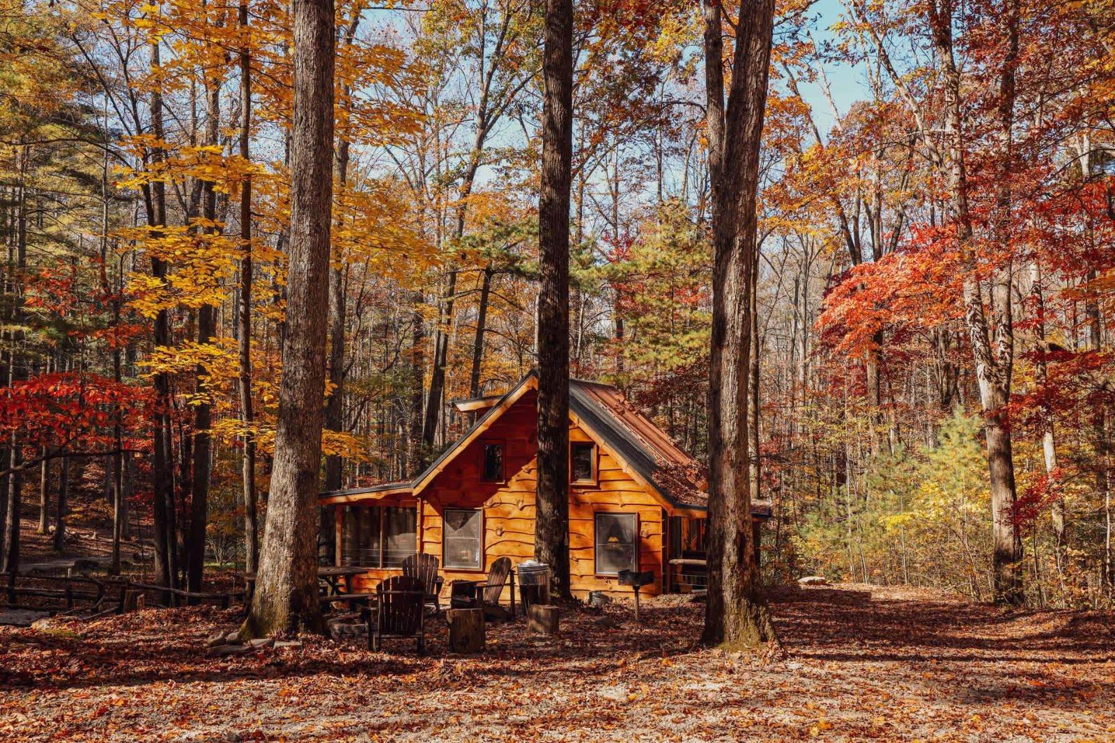 Cabin in the woods